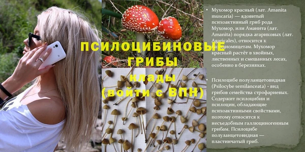 ГАЛЛЮЦИНОГЕННЫЕ ГРИБЫ Балахна