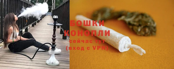 PSILOCYBIN Баксан