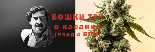 ГАЛЛЮЦИНОГЕННЫЕ ГРИБЫ Балахна