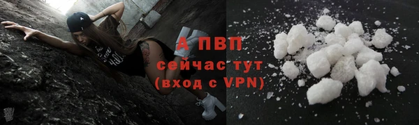PSILOCYBIN Баксан