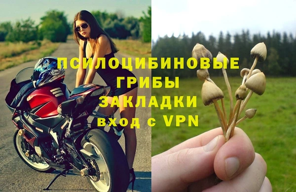 эйфоретик Аркадак