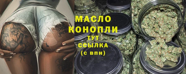 гидра Переславль-Залесский