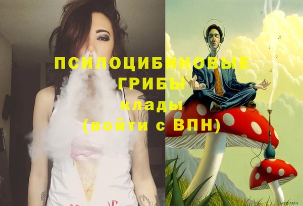 ГАЛЛЮЦИНОГЕННЫЕ ГРИБЫ Балахна
